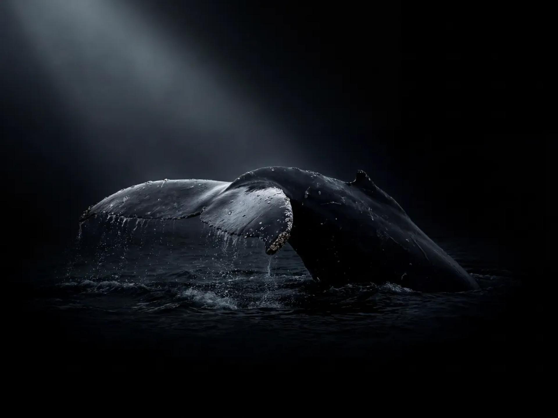 Full-stack web application architecture