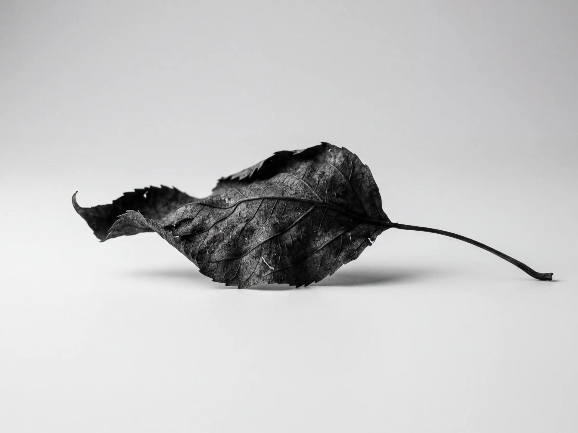 Inter-service communication and orchestration