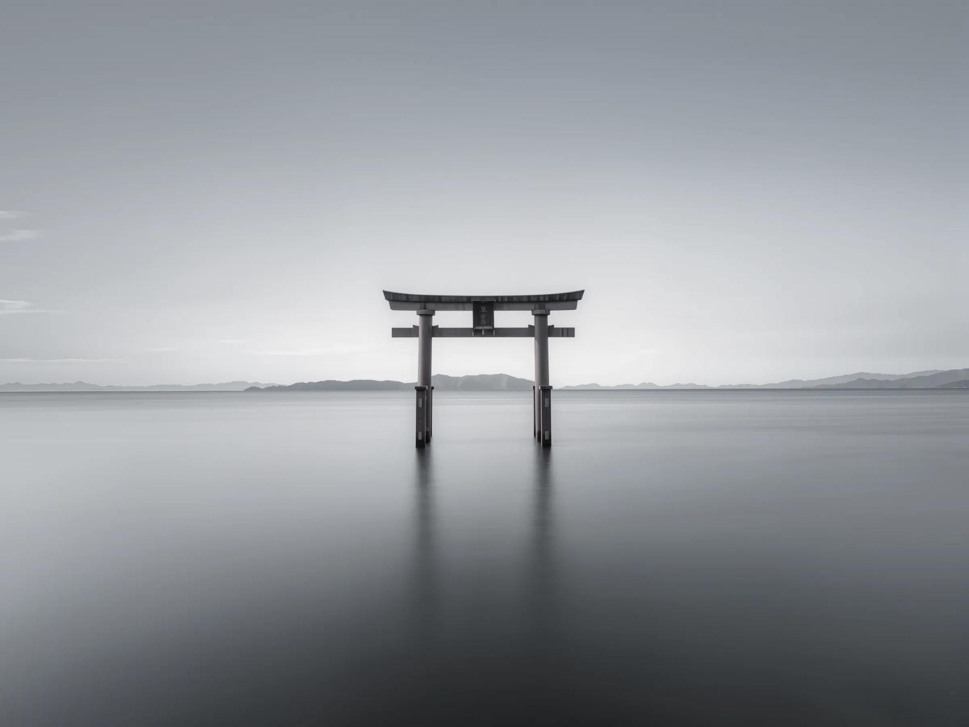 WebSocket and event streaming implementation