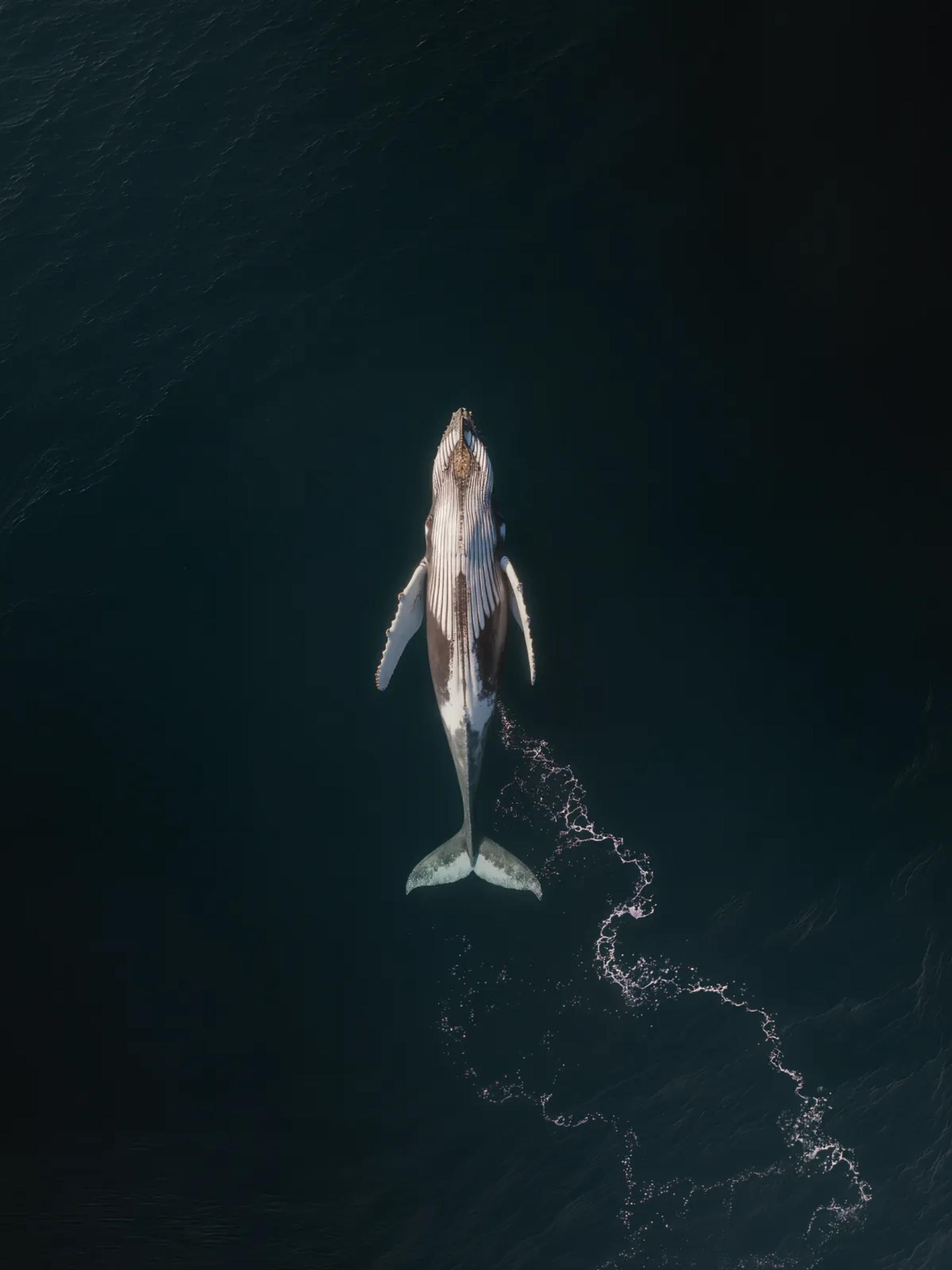 How to manage custom software design for B2E: A Successful Product VP's Cheat Sheet. Part 2