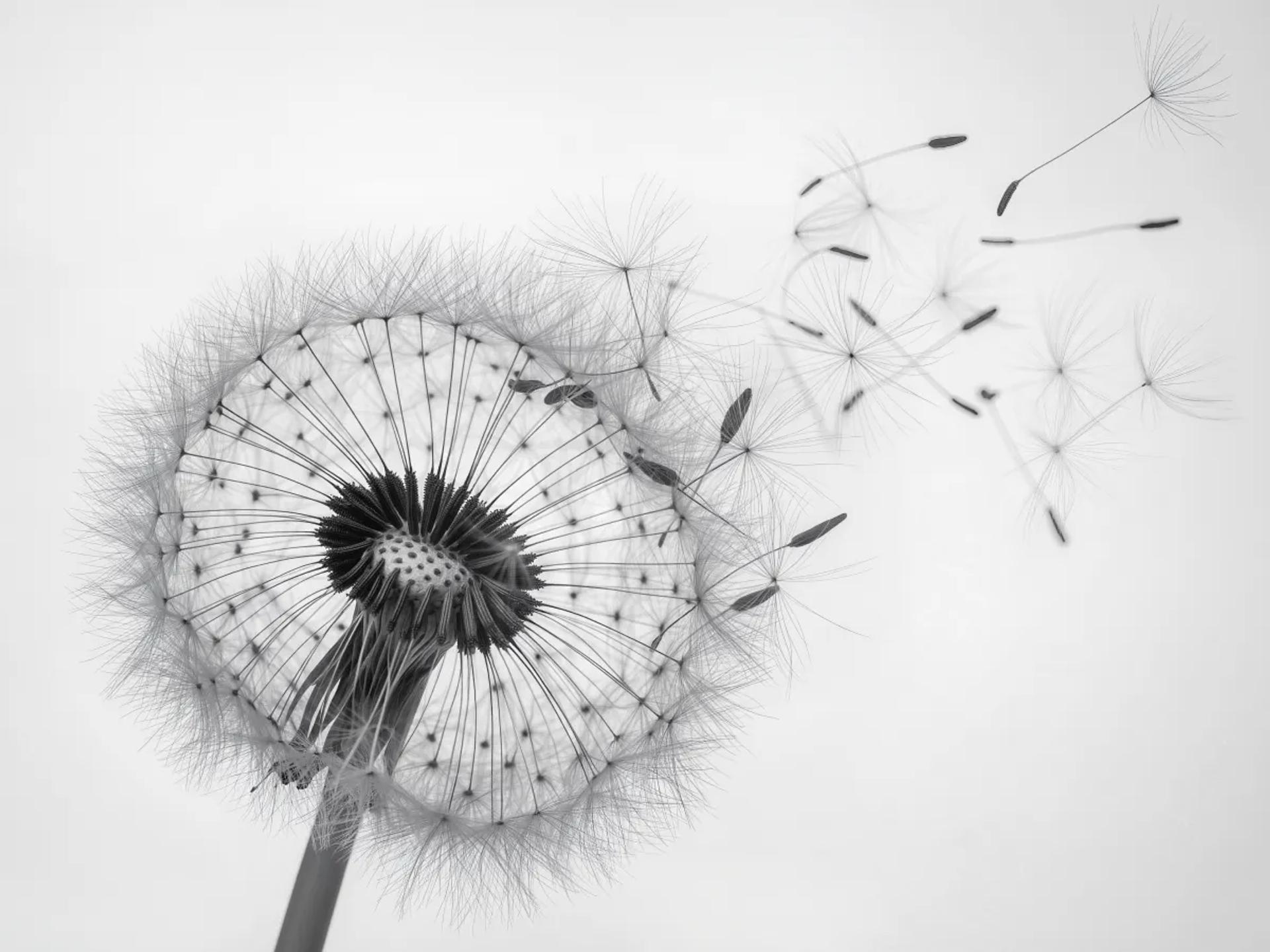 API architecture and microservices diagram